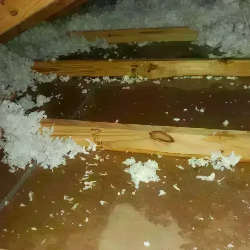 Attic Water Damage in Clark County, WA