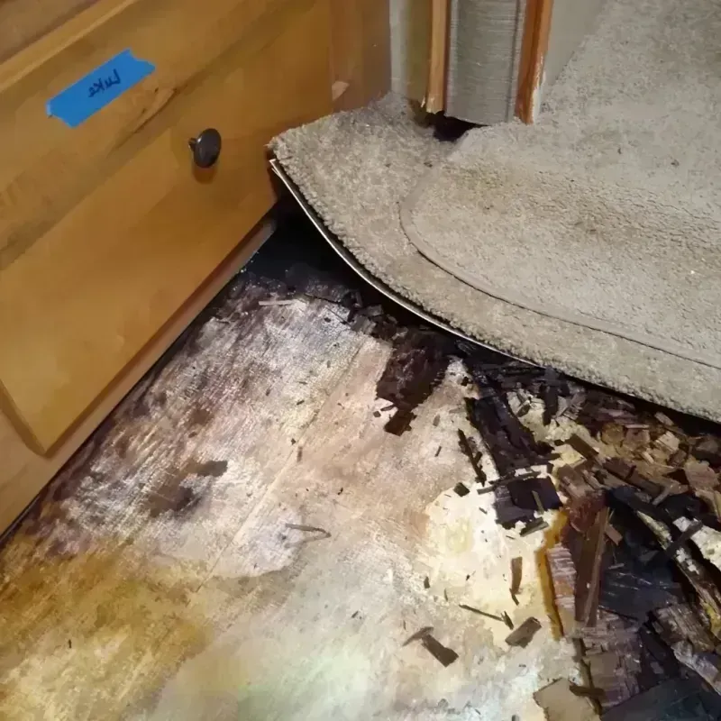 Best Wood Floor Water Damage Service in Clark County, WA